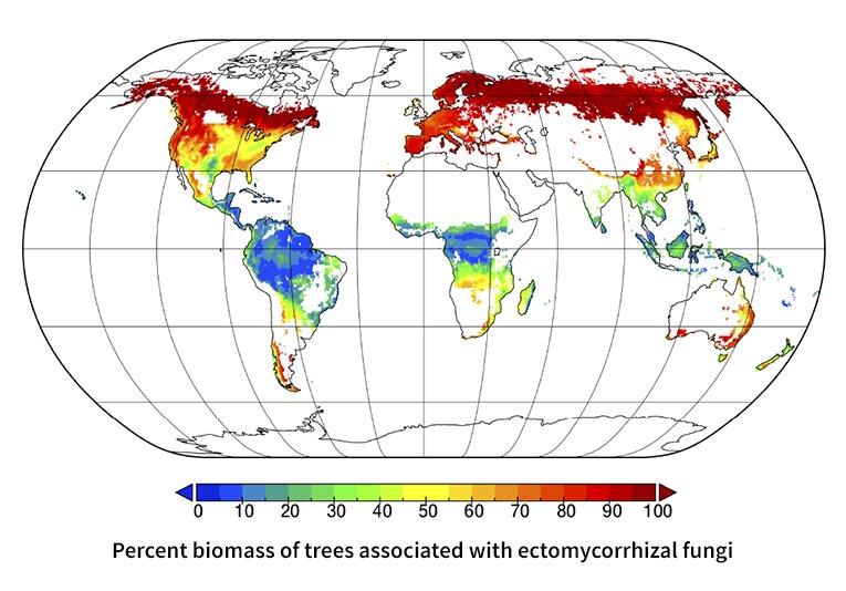 Microbe Mapping