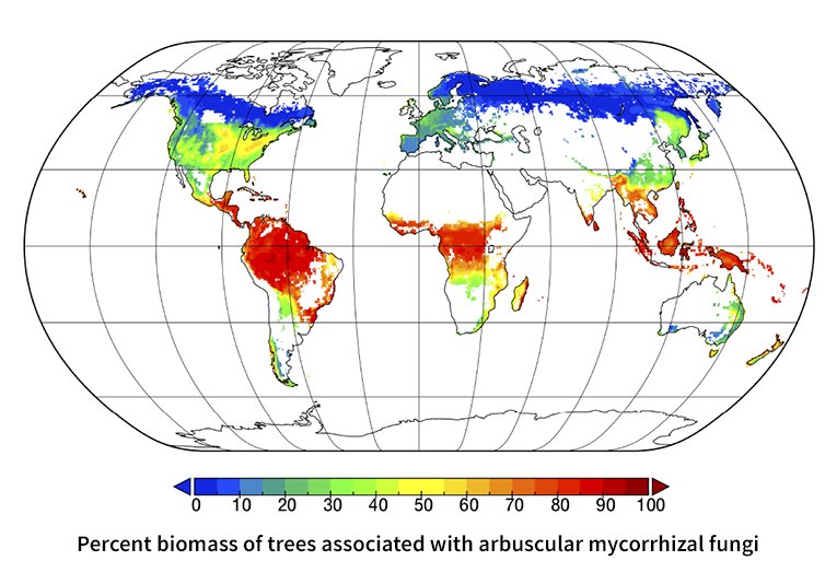 Biomass mapping