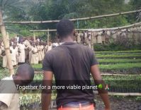 Emmanuel Niyoyabikoze